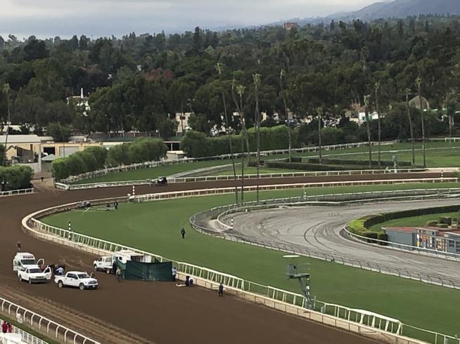 32nd Horse Dies at Santa Anita