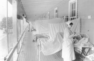 Twins Die in Pandemics —a Century Apart