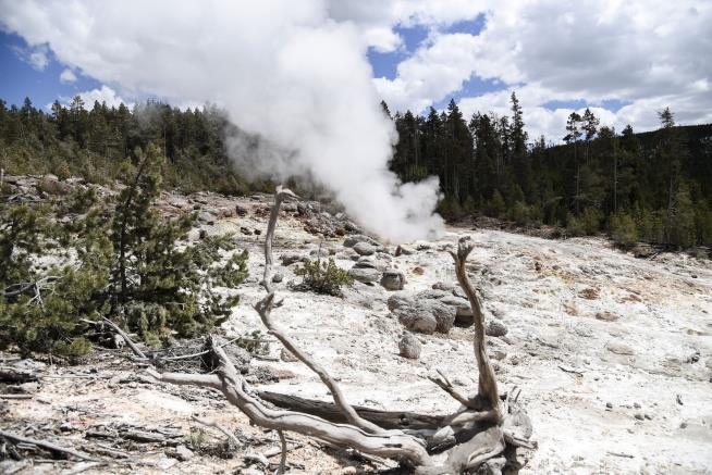 Woman Illegally Enters Shut-Down Yellowstone, Falls Into Thermal Feature