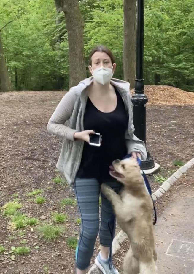 Woman in Park Incident Reunited With Dog