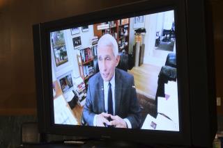 Fauci Has a Word About the 'Second Wave'