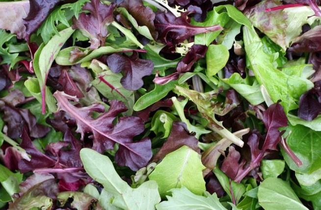 People Are Getting Sick From Eating This Salad