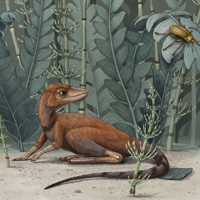 Fossils Show Small Forerunner to Dinosaurs That Fed on Bugs