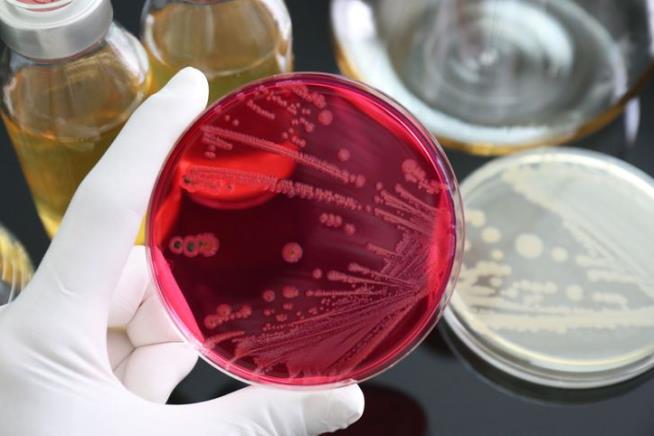 Mystery Salmonella Outbreak Hits 23 States