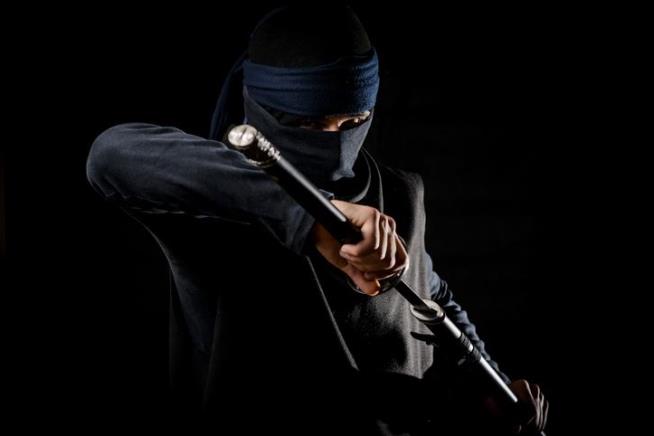 Stealthy Thieves Hit Ninja Museum