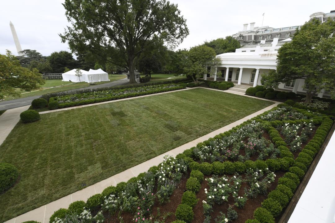 Melania Trump unveils newly renovated White House Rose ...