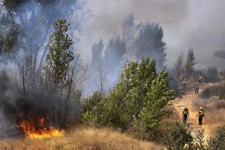 Blaze Traps 14 California Firefighters