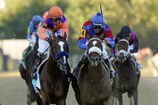 'Swiss Skydiver' Wins Preakness in an Upset