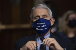 Fauci Sets Possible Date for Return to 'Normal'