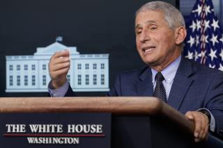 Fauci's View on the Next Few Months: 'Terribly Painful'