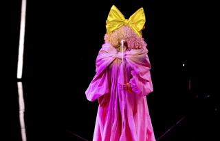 Sia Backs FKA Twigs, Says Shia LaBeouf 'Hurt' Her, Too