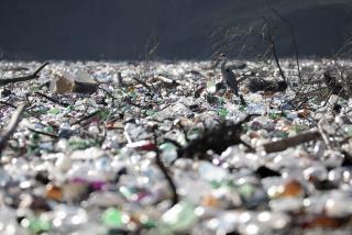 Floating Trash Endangers 'Entire Ecosystem' in Balkans