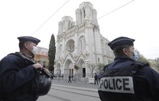 France Needs 1.5K Ancient Oaks for Notre Dame Rebuild