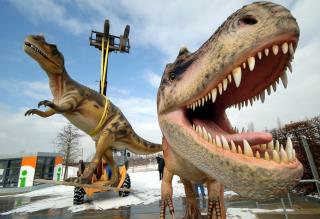 It Wouldn't Have Been Easy to Bump Into a T. Rex