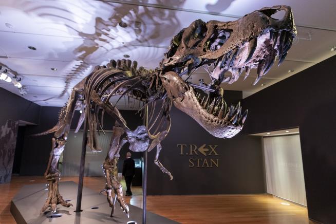 Utah Discovery a 'Tipping Point' on T. Rexes