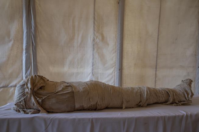 Scan Reveals Big Surprise: a Pregnant Mummy