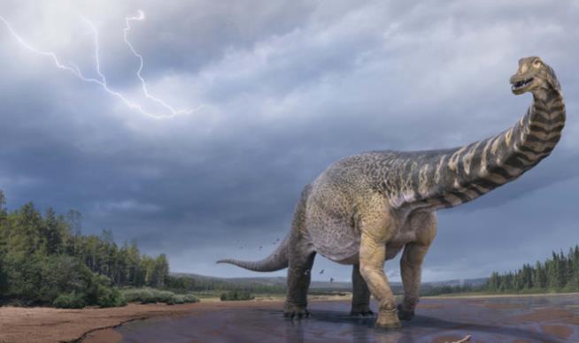 Australia Finds Its Biggest-Ever Dino