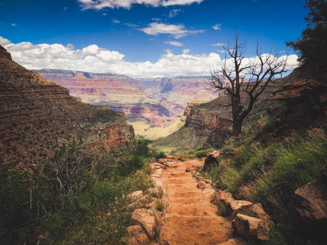 Grand Canyon Backpacker Dies in Extreme Heat