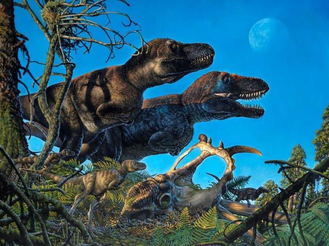 Dinosaurs Survived Brutal Ancient Arctic
