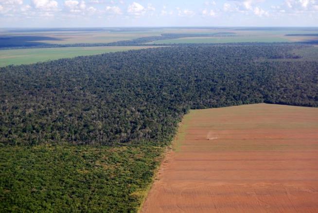Scientists See Evidence of Troubling Shift in Amazon