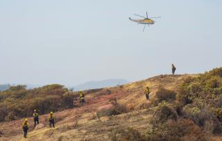 California Seeks Major Federal Help With Fires
