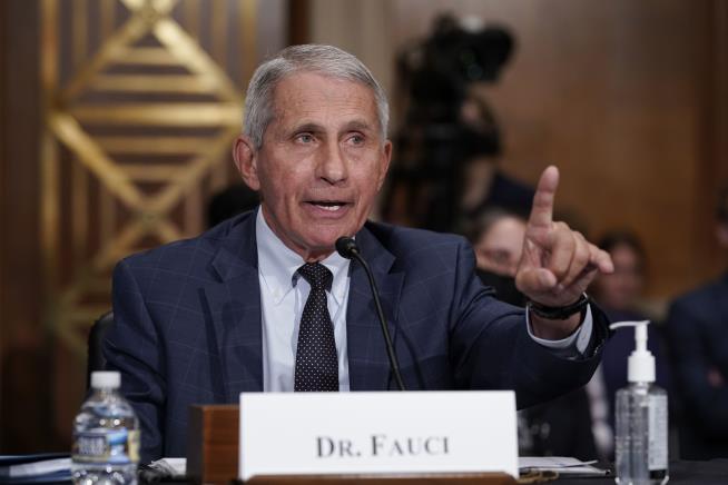 No Need to Skip Halloween This Year, Fauci Says