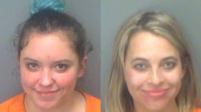 Glitter Attack Ends With Felony Charges