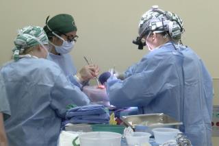It's Another Big Milestone on Organ Transplants