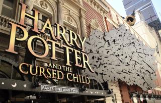 Broadway's Harry Potter Accused of Misconduct