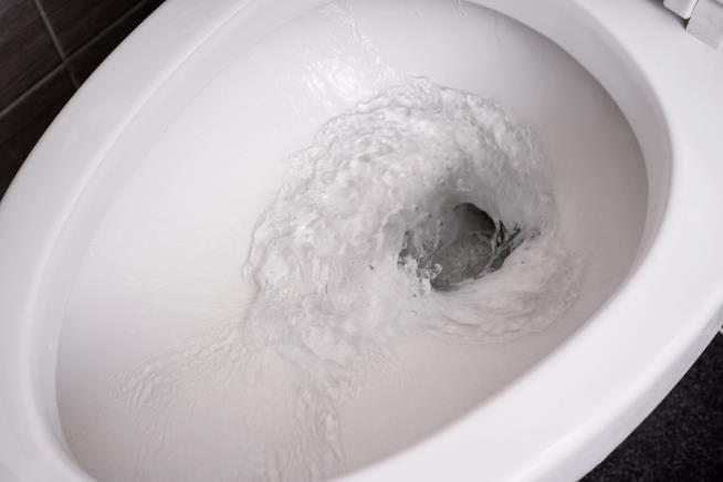 Report: WH Staff Thinks Trump Flushed Papers Down Toilet