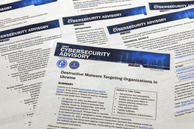 Digital 'Swarm' Fights Russian Sites Online