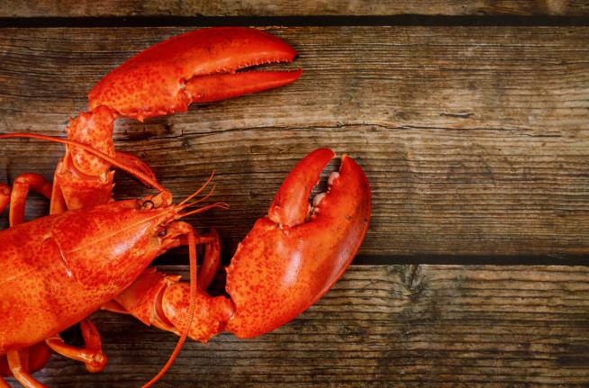 Lobster Prices Are 'Almost Embarrassing'
