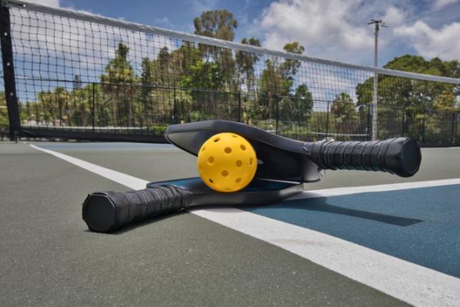 This Might Be Nation's First Pickleball Felony