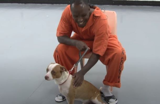'Life-Changer' Program Frees Inmates to Train Shelter Dogs