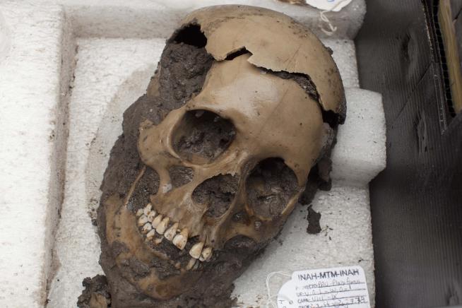 'Crime Scene' Skulls Actually Point to Millennia-Old Sacrifice