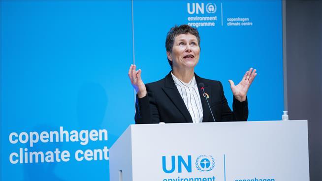At a UN Agency, Big Budgets and a 'Culture of Impunity'