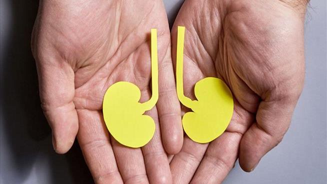 Switzerland Does a 180 on Its Organ Donation Approach
