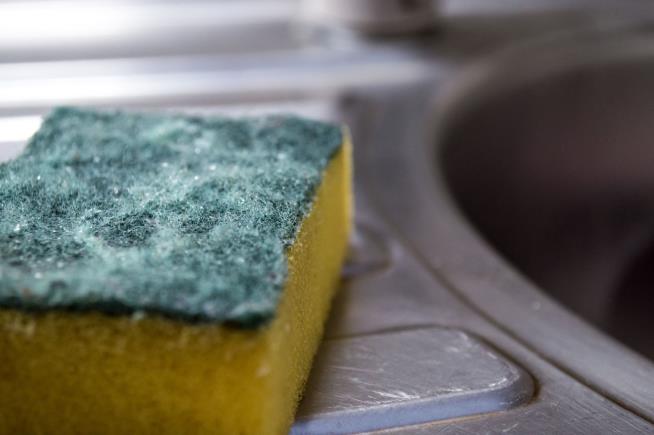 Bacteria Thrive in Dish Sponges, So Experts Have Suggestions