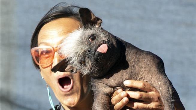 'World's Ugliest Dog' Is Loaded With Inner Beauty