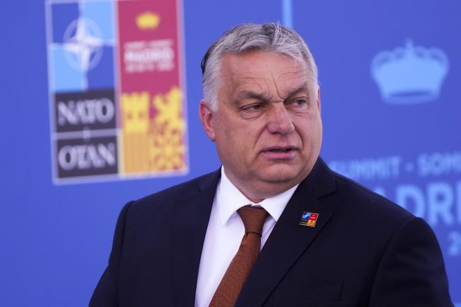 Hungarian PM: 'Mixed Race' Countries Aren't Countries