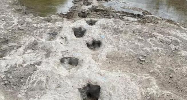 Drought Exposes Texas Dinosaur Tracks