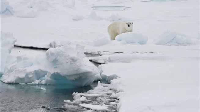 US Set to Finally Get an Arctic Ambassador