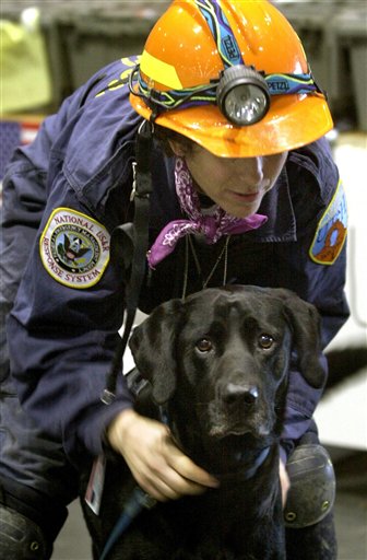 Post-9/11 Hero Dog Loses Cancer Fight