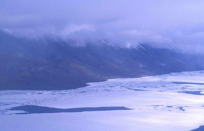 Arctic Could Become 'Fertile Ground' for New Pandemics