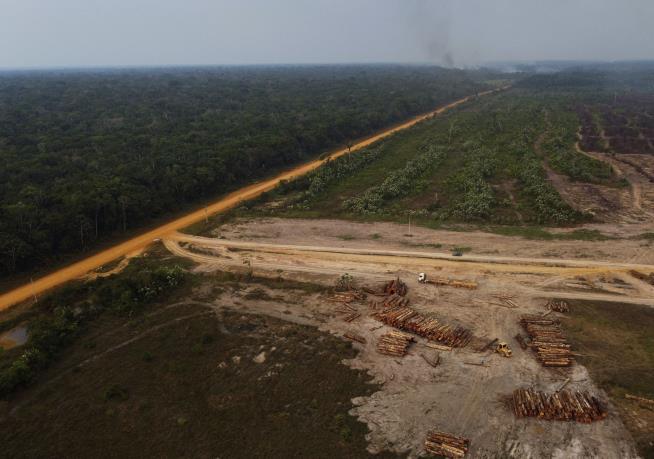 Another Big Winner in Brazil May Be the Amazon