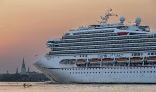 Cruise Passenger Vanishes, Turns Up Alive in Gulf Next Day