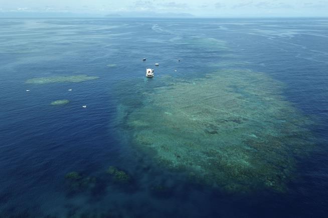 Australia to UN: Don't Label Great Barrier Reef 'Endangered'