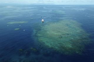 Australia to UN: Don't Label Great Barrier Reef 'Endangered'