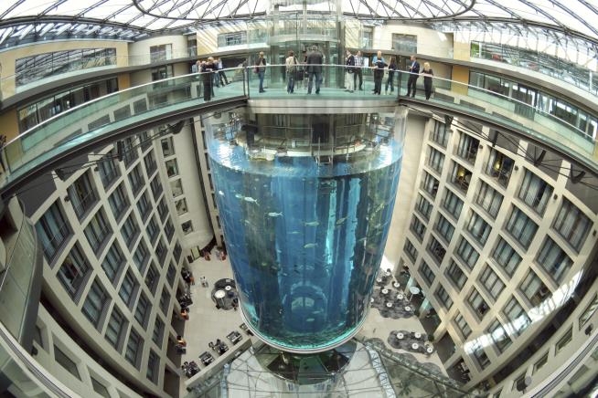 'Chaos' as Largest Freestanding Cylindrical Aquarium Explodes