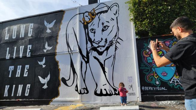 Mural Honors Mountain Lion